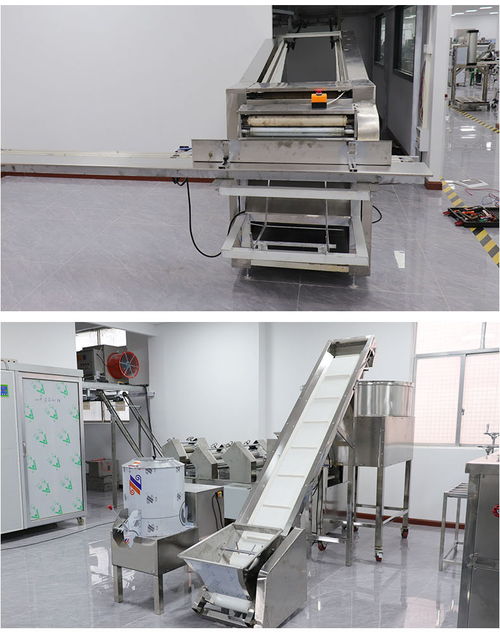 重慶食品加工與健康康復設(shè)備 面條生產(chǎn)與物理治療的現(xiàn)代化融合